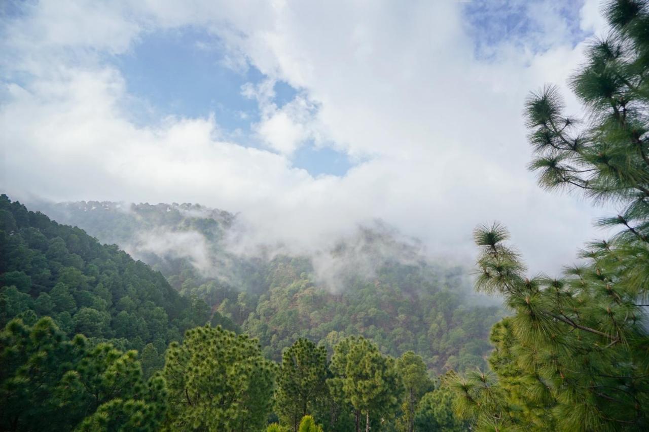 Pine Villa By Montrose Kasauli Extérieur photo